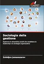 Sociologia della gestione