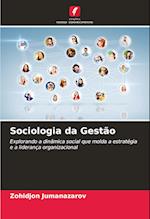 Sociologia da Gestão