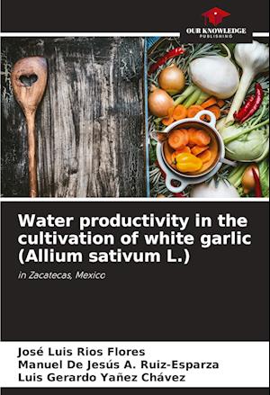 Water productivity in the cultivation of white garlic (Allium sativum L.)