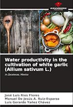 Water productivity in the cultivation of white garlic (Allium sativum L.)