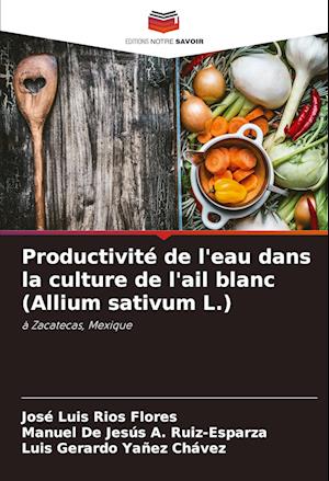 Productivité de l'eau dans la culture de l'ail blanc (Allium sativum L.)