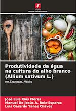 Produtividade da água na cultura do alho branco (Allium sativum L.)