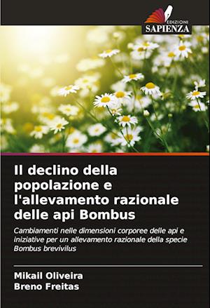 Il declino della popolazione e l'allevamento razionale delle api Bombus