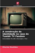 A construção da identidade no caso do Tumblr TV Fandom