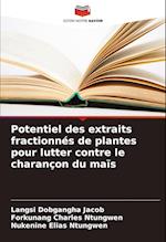 Potentiel des extraits fractionnés de plantes pour lutter contre le charançon du maïs