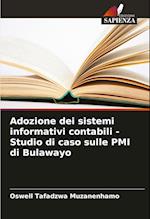 Adozione dei sistemi informativi contabili - Studio di caso sulle PMI di Bulawayo