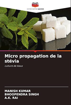 Micro propagation de la stévia