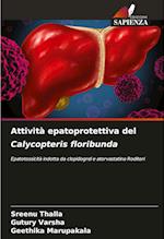 Attività epatoprotettiva del Calycopteris floribunda