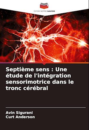 Septième sens : Une étude de l'intégration sensorimotrice dans le tronc cérébral