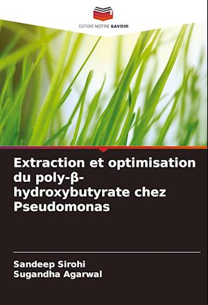 Extraction et optimisation du poly-¿-hydroxybutyrate chez Pseudomonas