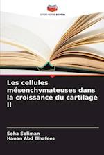 Les cellules mésenchymateuses dans la croissance du cartilage II