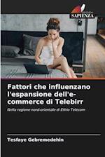 Fattori che influenzano l'espansione dell'e-commerce di Telebirr