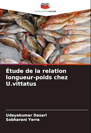 Étude de la relation longueur-poids chez U.vittatus