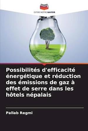 Possibilités d'efficacité énergétique et réduction des émissions de gaz à effet de serre dans les hôtels népalais