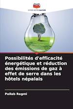 Possibilités d'efficacité énergétique et réduction des émissions de gaz à effet de serre dans les hôtels népalais