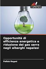 Opportunità di efficienza energetica e riduzione dei gas serra negli alberghi nepalesi