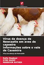 Vírus da doença de Newcastle em aves de capoeira Informações sobre o vale de Caxemira