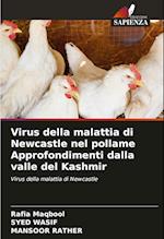 Virus della malattia di Newcastle nel pollame Approfondimenti dalla valle del Kashmir