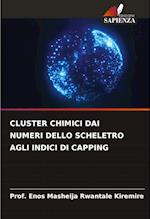 CLUSTER CHIMICI DAI NUMERI DELLO SCHELETRO AGLI INDICI DI CAPPING