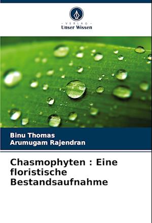 Chasmophyten : Eine floristische Bestandsaufnahme