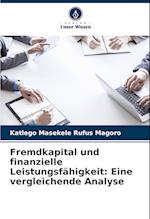 Fremdkapital und finanzielle Leistungsfähigkeit: Eine vergleichende Analyse