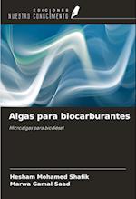 Algas para biocarburantes