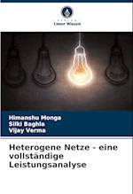 Heterogene Netze - eine vollständige Leistungsanalyse