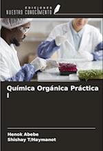 Química Orgánica Práctica I