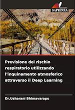 Previsione del rischio respiratorio utilizzando l'inquinamento atmosferico attraverso il Deep Learning