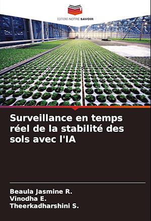 Surveillance en temps réel de la stabilité des sols avec l'IA