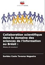 Collaboration scientifique dans le domaine des sciences de l'information au Brésil :