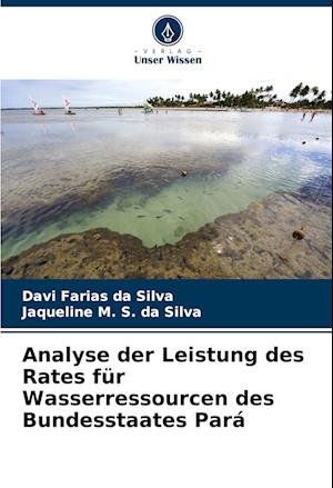 Analyse der Leistung des Rates für Wasserressourcen des Bundesstaates Pará