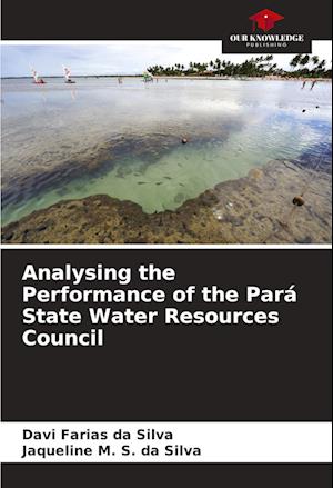 Analysing the Performance of the Pará State Water Resources Council