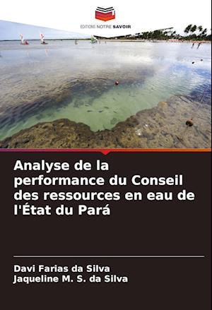 Analyse de la performance du Conseil des ressources en eau de l'État du Pará