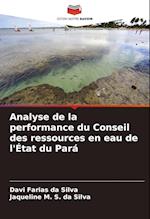 Analyse de la performance du Conseil des ressources en eau de l'État du Pará