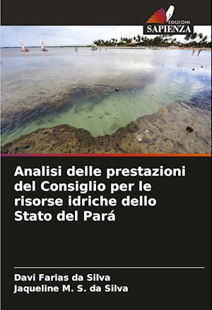 Analisi delle prestazioni del Consiglio per le risorse idriche dello Stato del Pará