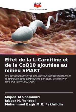 Effet de la L-Carnitine et de la CoQ10 ajoutées au milieu SMART