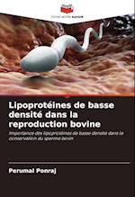 Lipoprotéines de basse densité dans la reproduction bovine