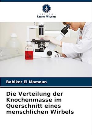 Die Verteilung der Knochenmasse im Querschnitt eines menschlichen Wirbels