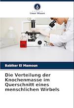 Die Verteilung der Knochenmasse im Querschnitt eines menschlichen Wirbels