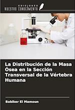 La Distribución de la Masa Ósea en la Sección Transversal de la Vértebra Humana