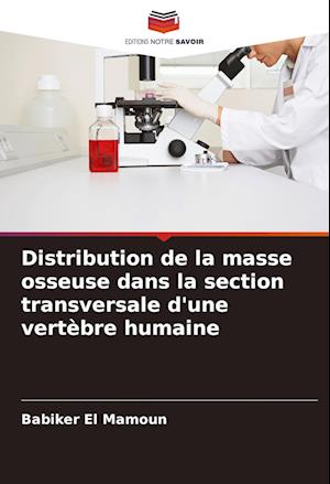 Distribution de la masse osseuse dans la section transversale d'une vertèbre humaine