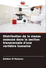 Distribution de la masse osseuse dans la section transversale d'une vertèbre humaine