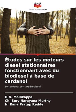 Études sur les moteurs diesel stationnaires fonctionnant avec du biodiesel à base de cardanol