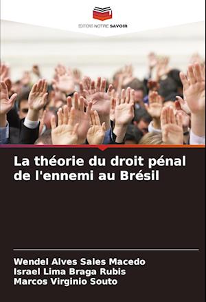 La théorie du droit pénal de l'ennemi au Brésil