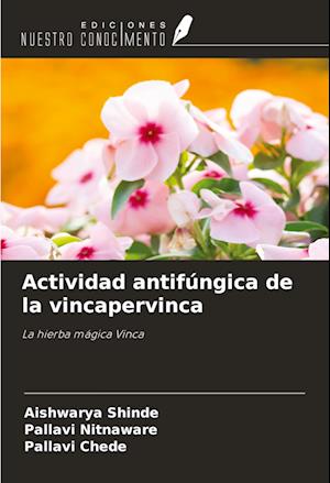 Actividad antifúngica de la vincapervinca