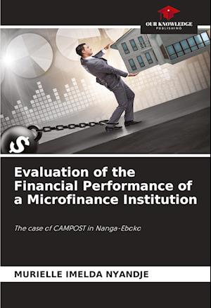 Evaluation of the Financial Performance of a Microfinance Institution