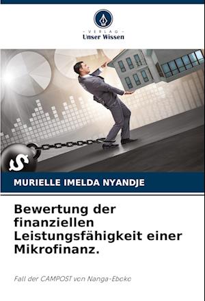 Bewertung der finanziellen Leistungsfähigkeit einer Mikrofinanz.