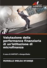 Valutazione della performance finanziaria di un'istituzione di microfinanza