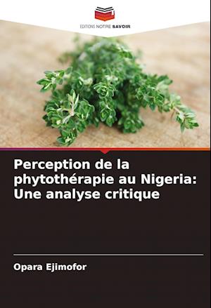 Perception de la phytothérapie au Nigeria: Une analyse critique